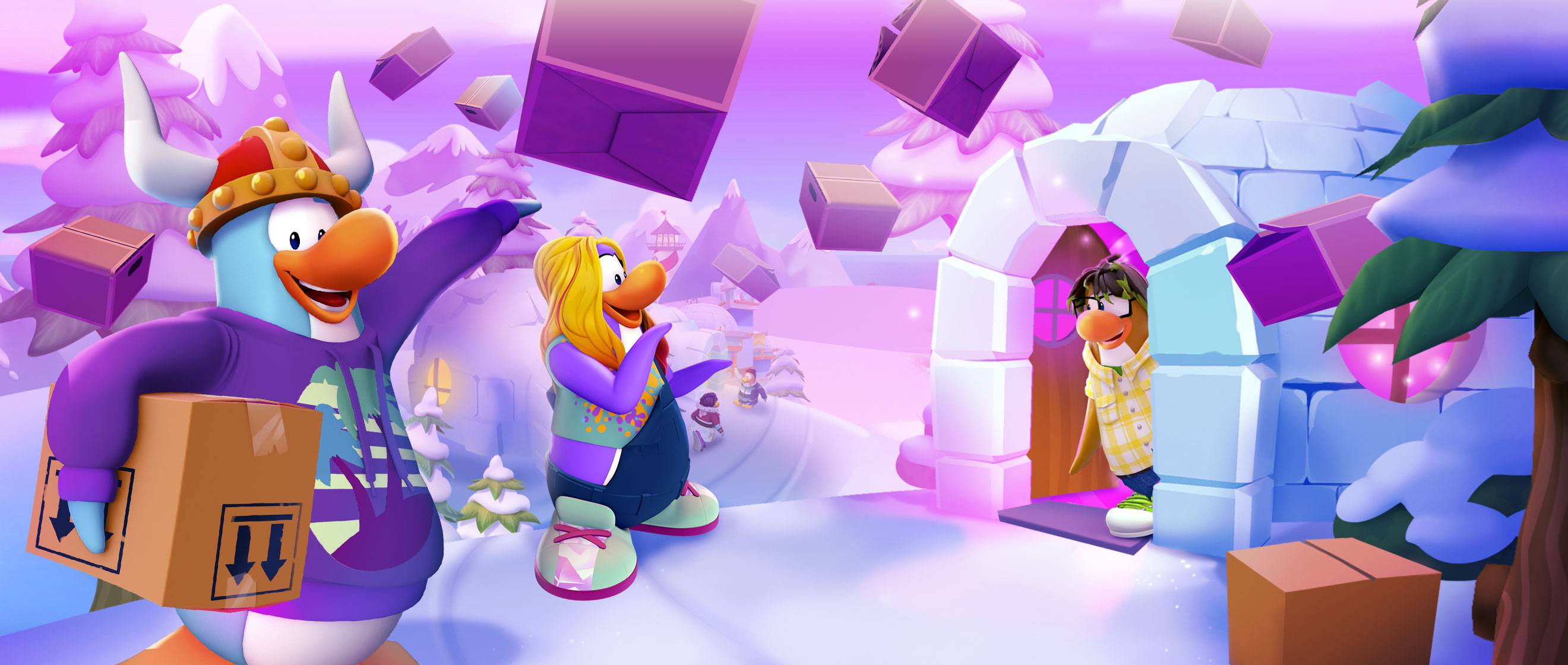 Banner Image